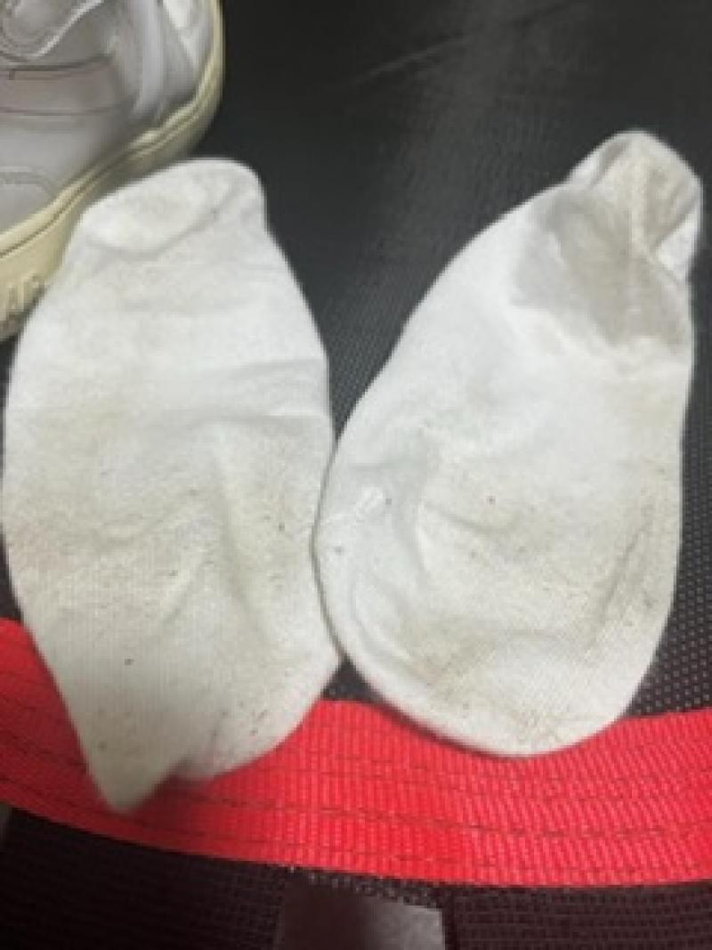出品者名-写真-1