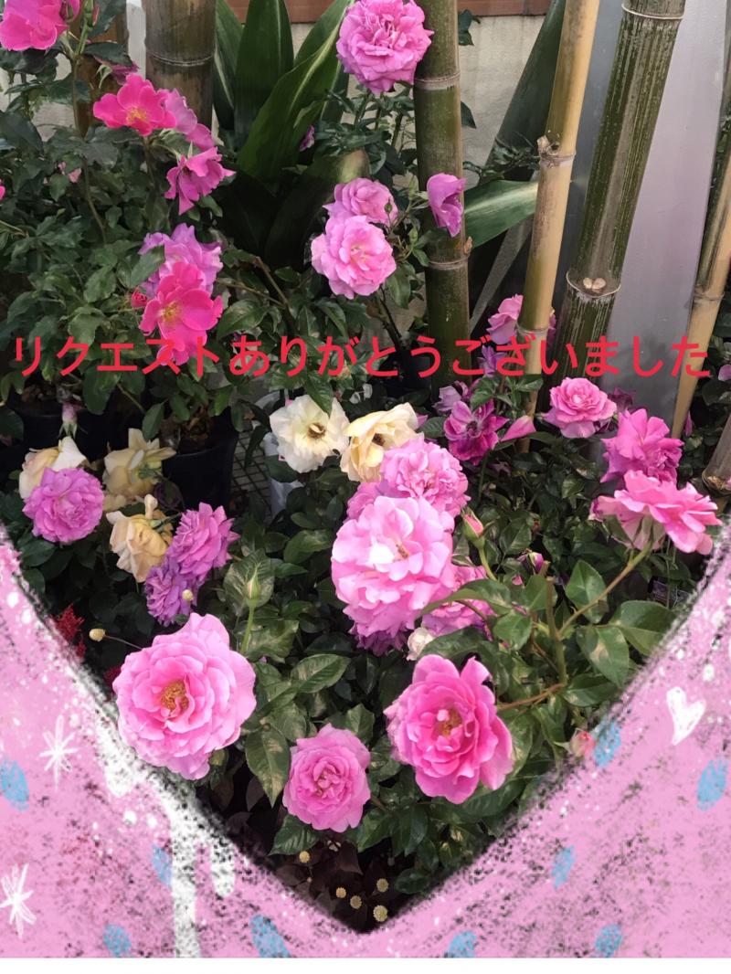 出品者名-写真-1