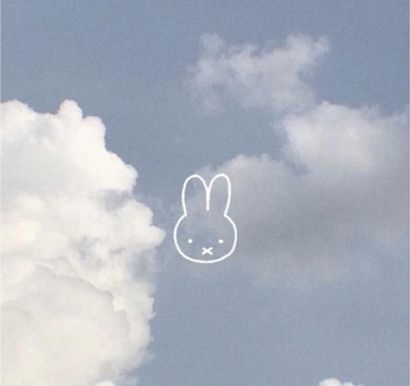 出品者名-写真