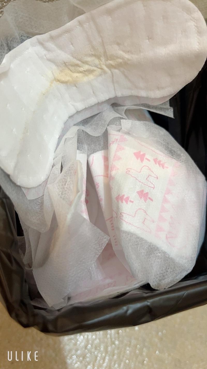 出品者名-写真