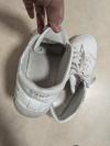 出品者名-写真-1
