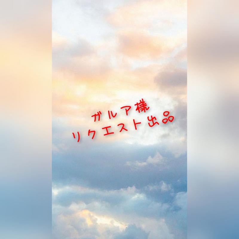 出品者名-写真