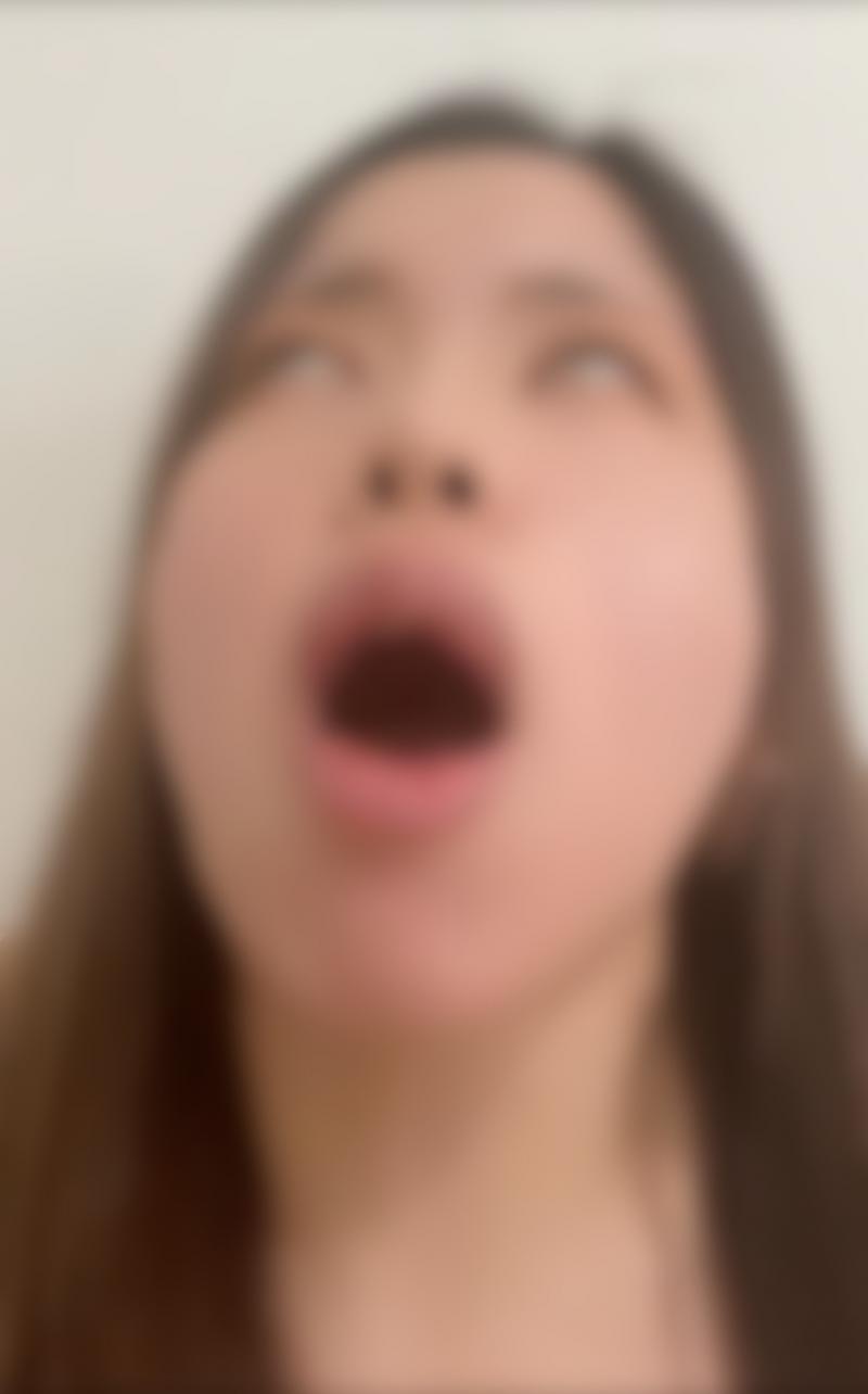 出品者名-写真