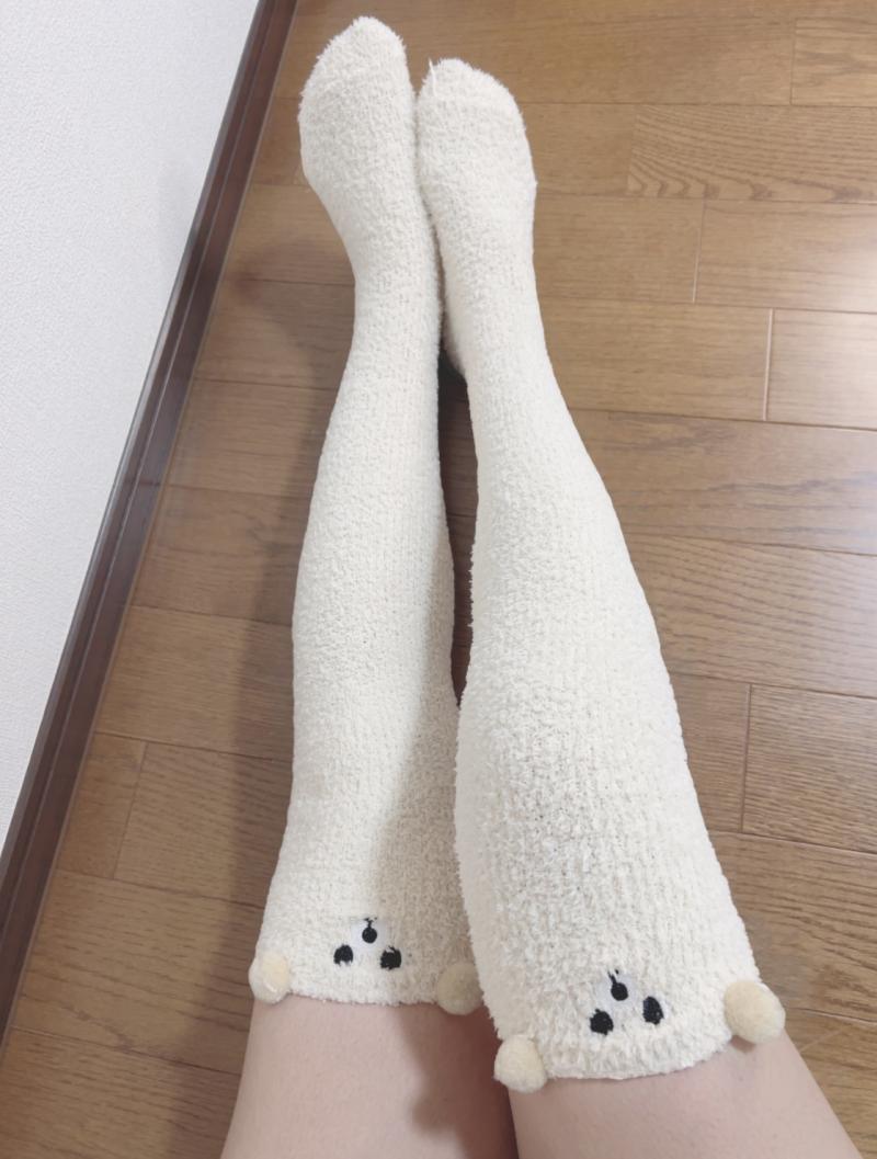 出品者名-写真