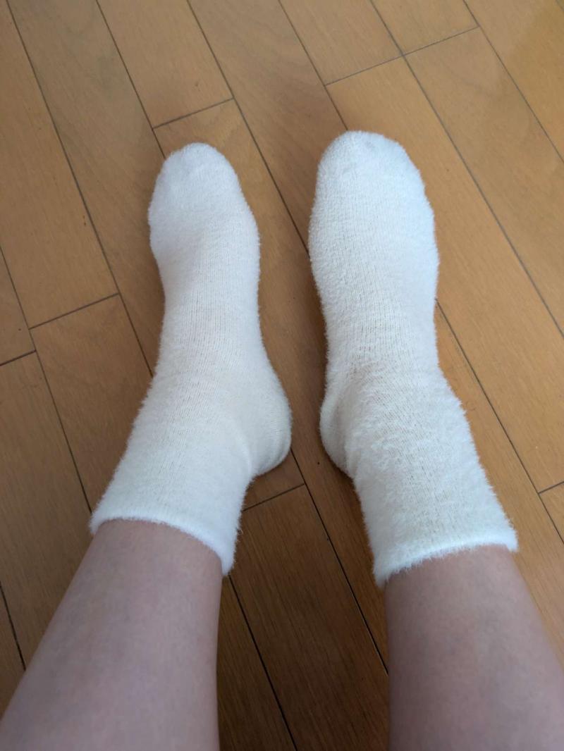 出品者名-写真