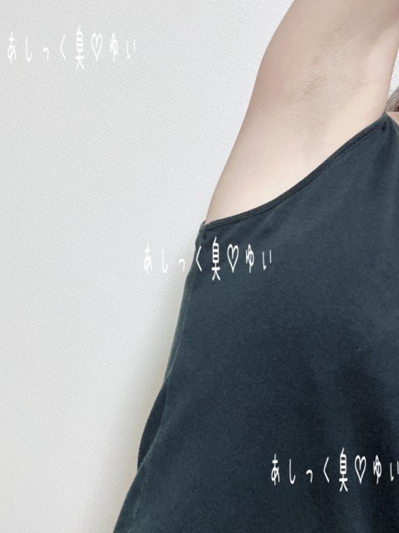 出品者名-写真