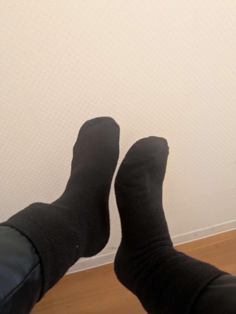 出品者名-写真