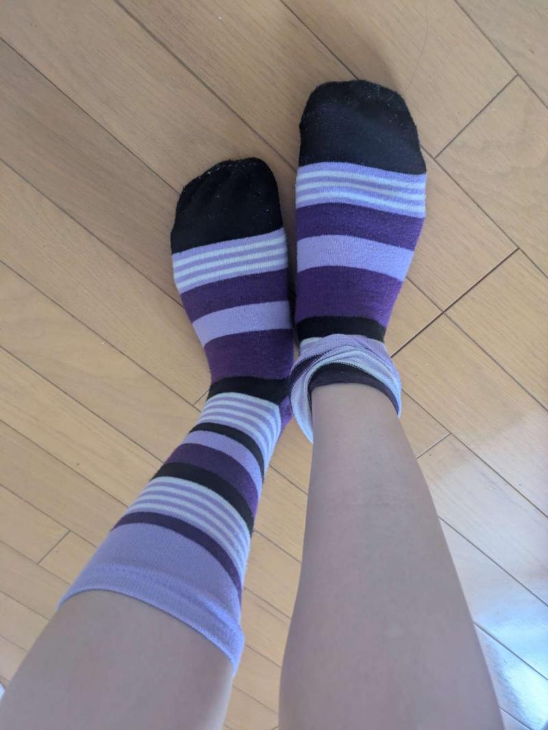 出品者名-写真