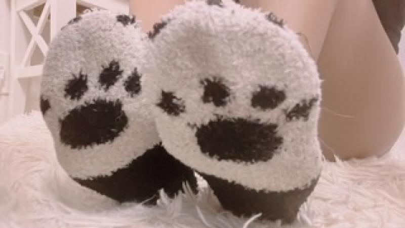 出品者名-写真-1