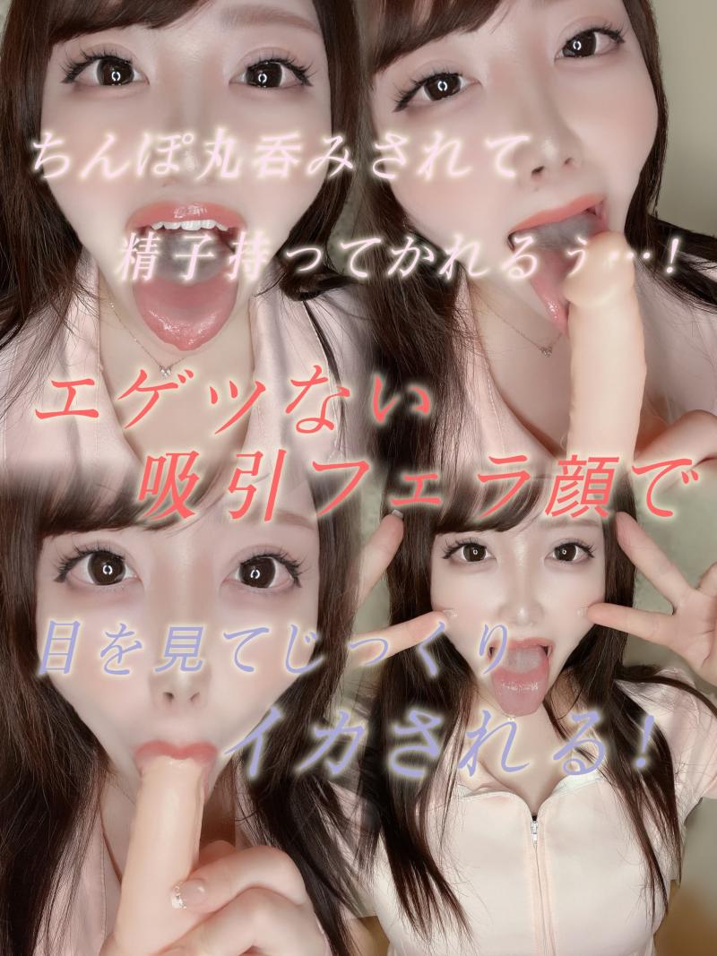 出品者名-写真-1