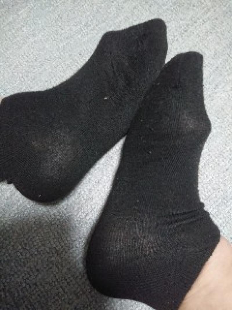 出品者名-写真