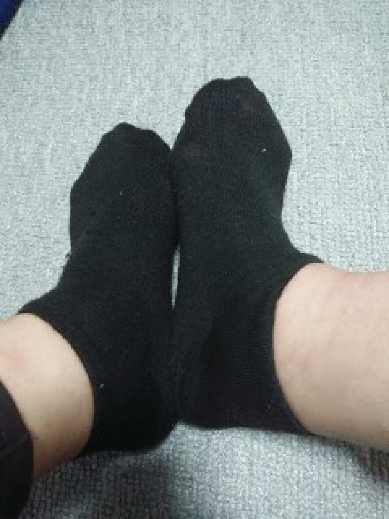 出品者名-写真-1
