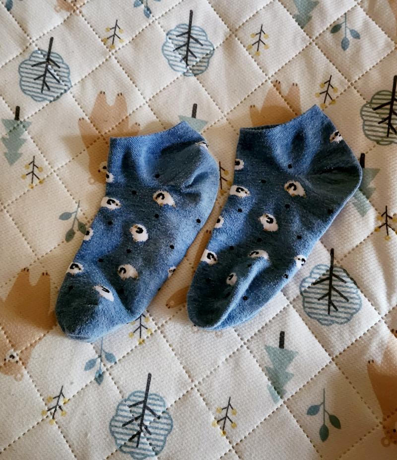 出品者名-写真-1