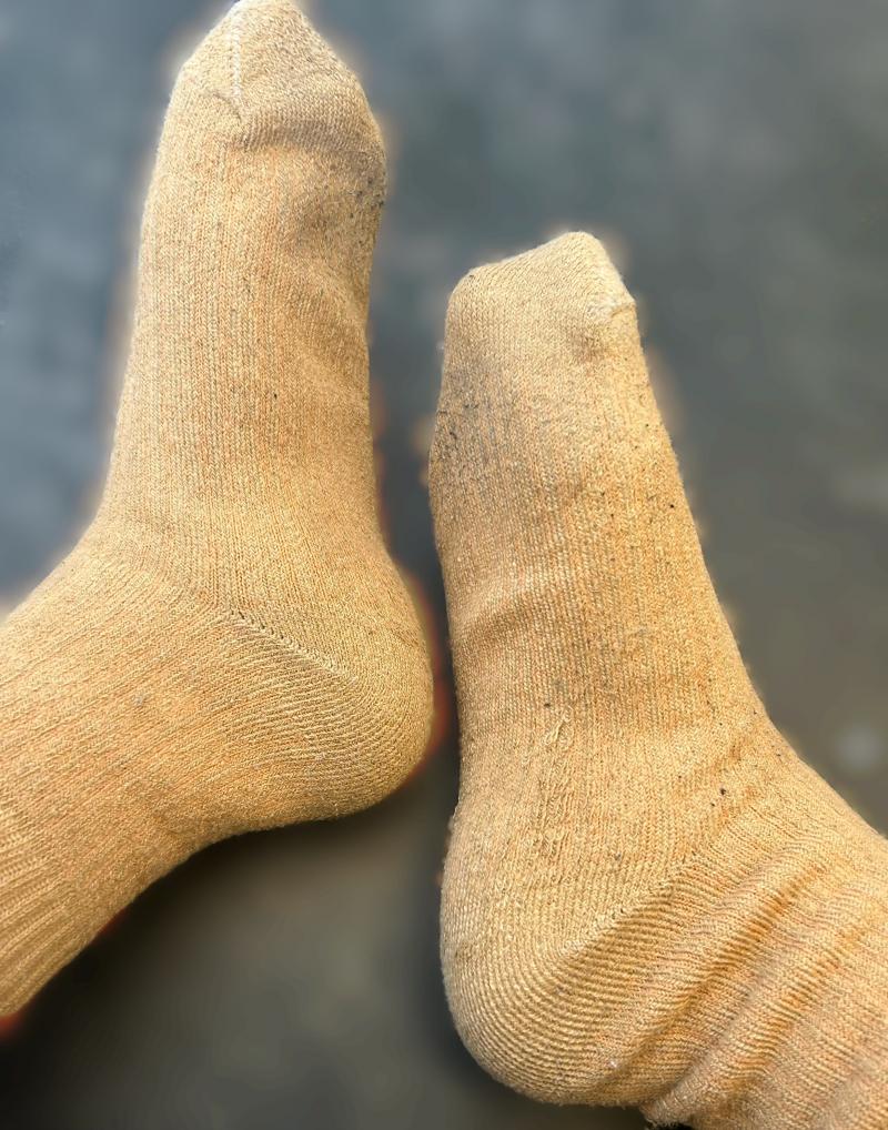 出品者名-写真-1