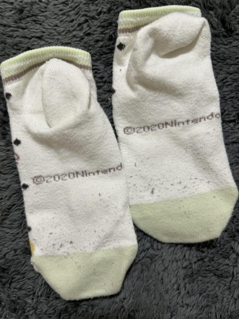 出品者名-写真-1