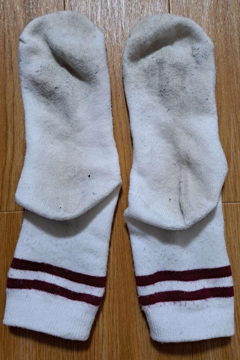 出品者名-写真-1