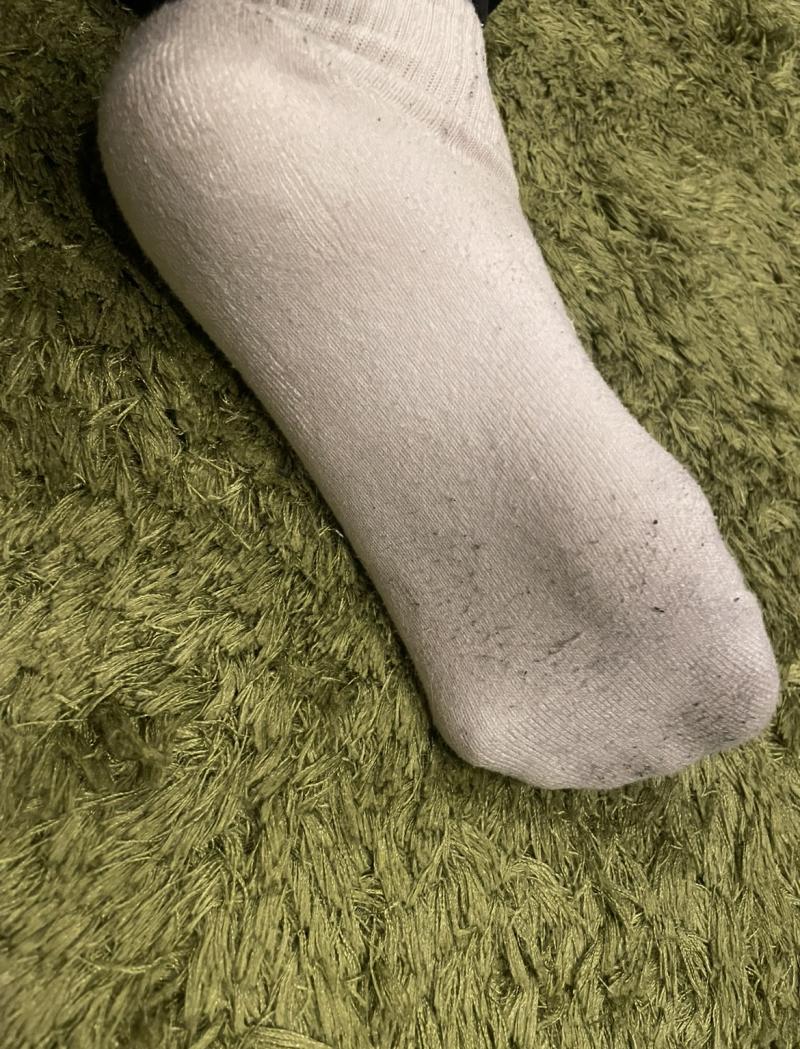 出品者名-写真-1