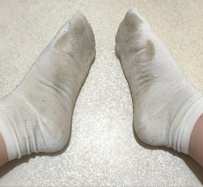 出品者名-写真-1