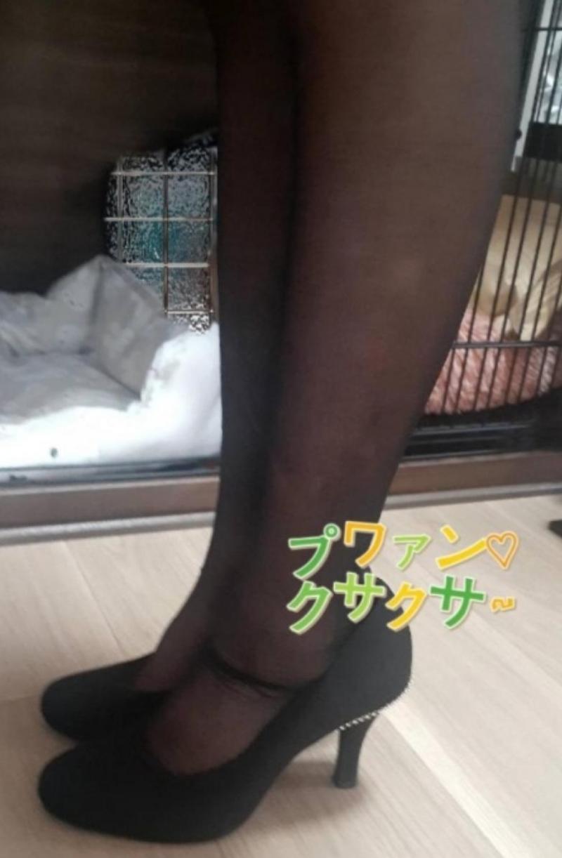 出品者名-写真-1