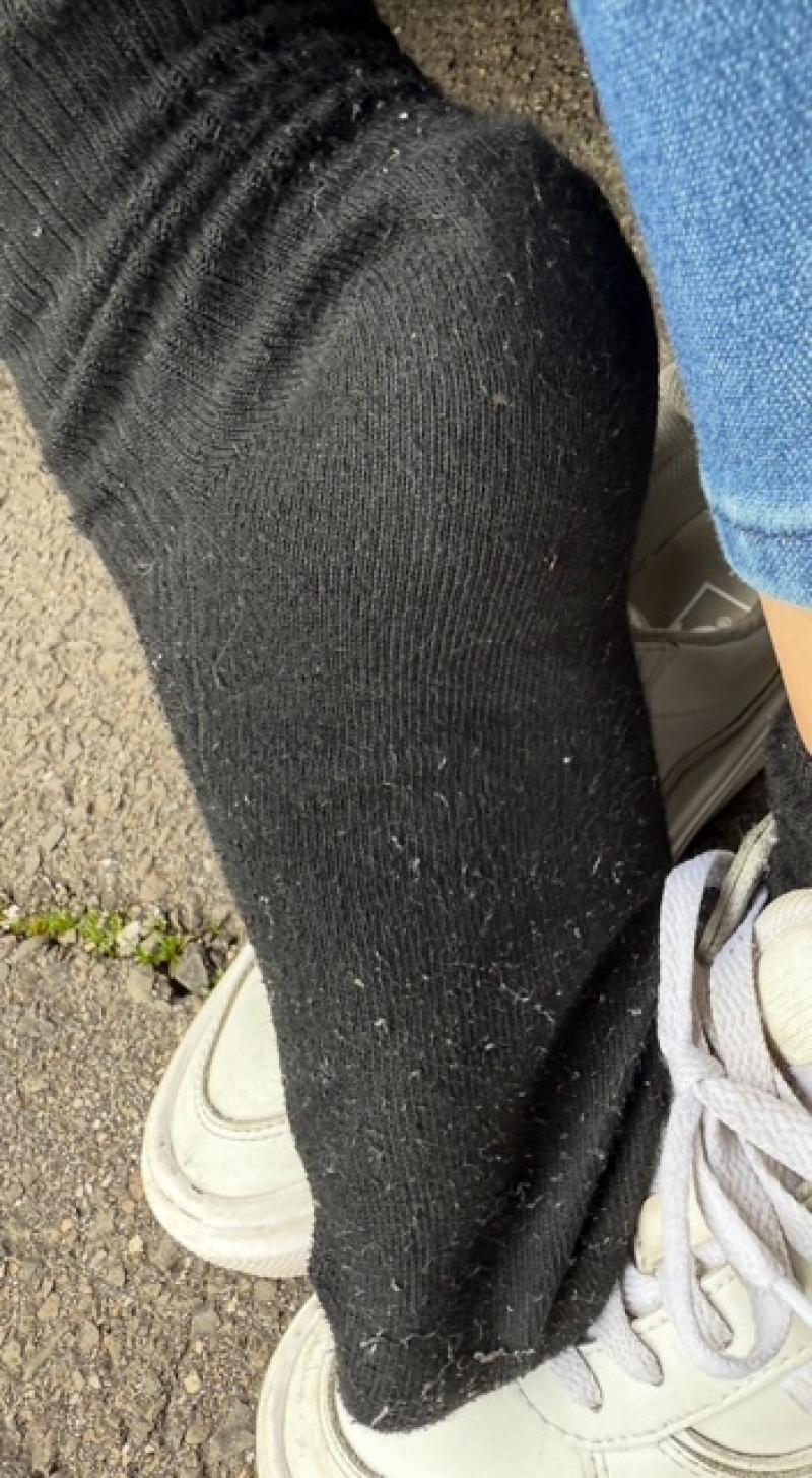 出品者名-写真-1