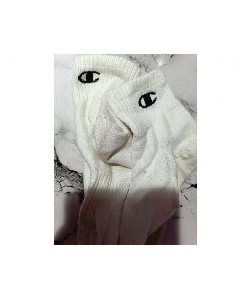 出品者名-写真-1