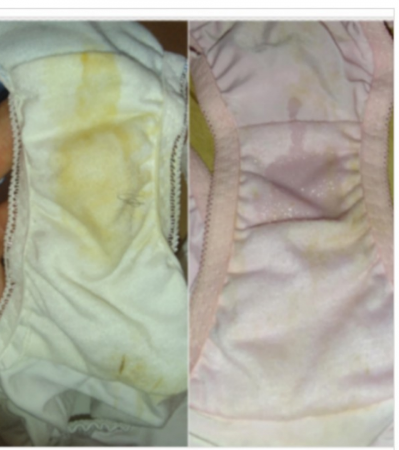 出品者名-写真-1