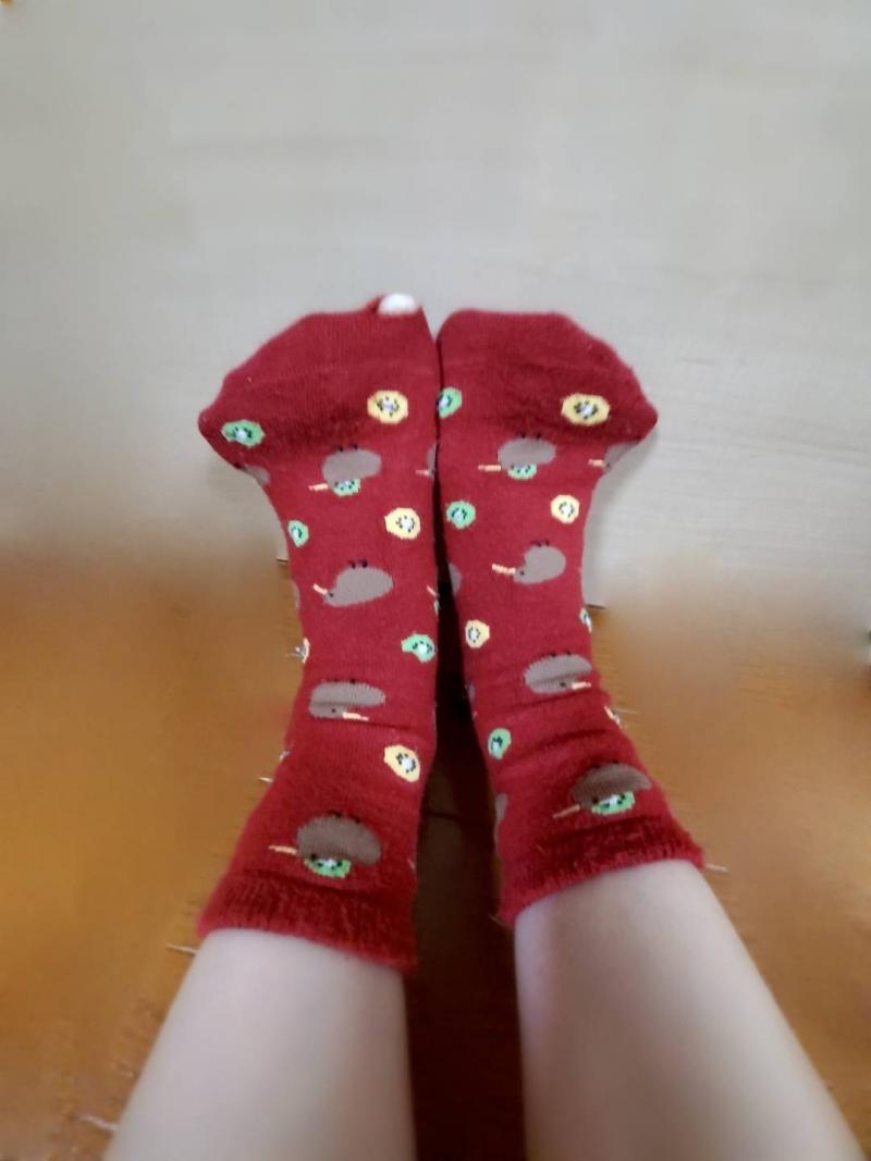 出品者名-写真-1