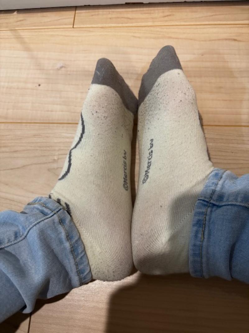 出品者名-写真-1