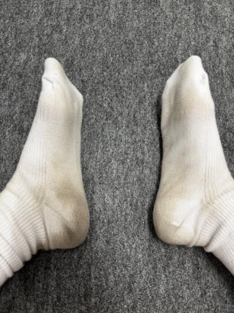 出品者名-写真-1