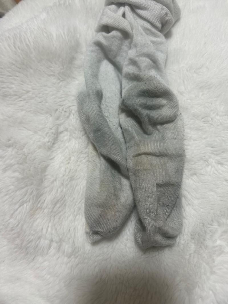 出品者名-写真-1