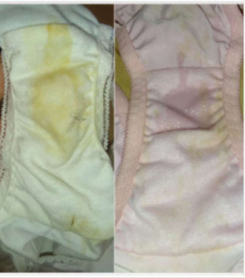 出品者名-写真-1