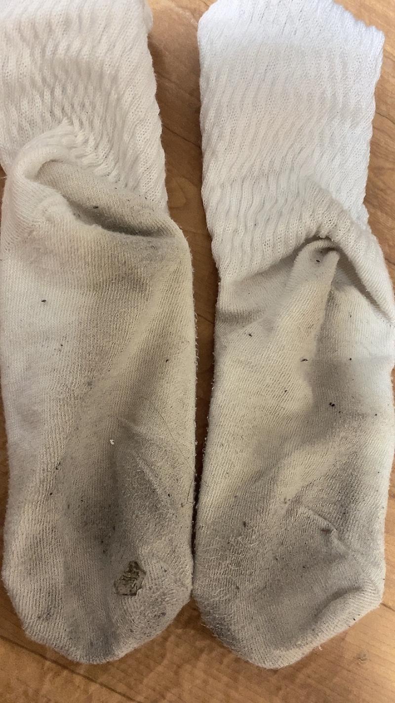 出品者名-写真-1