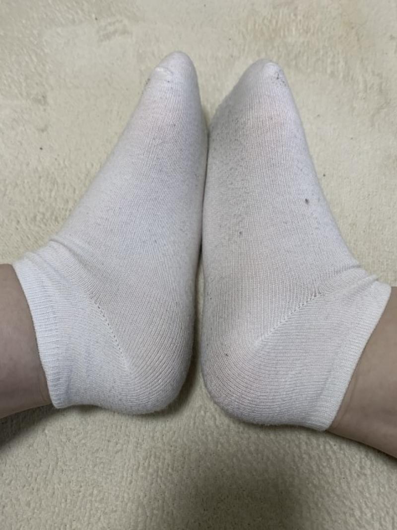 出品者名-写真-1