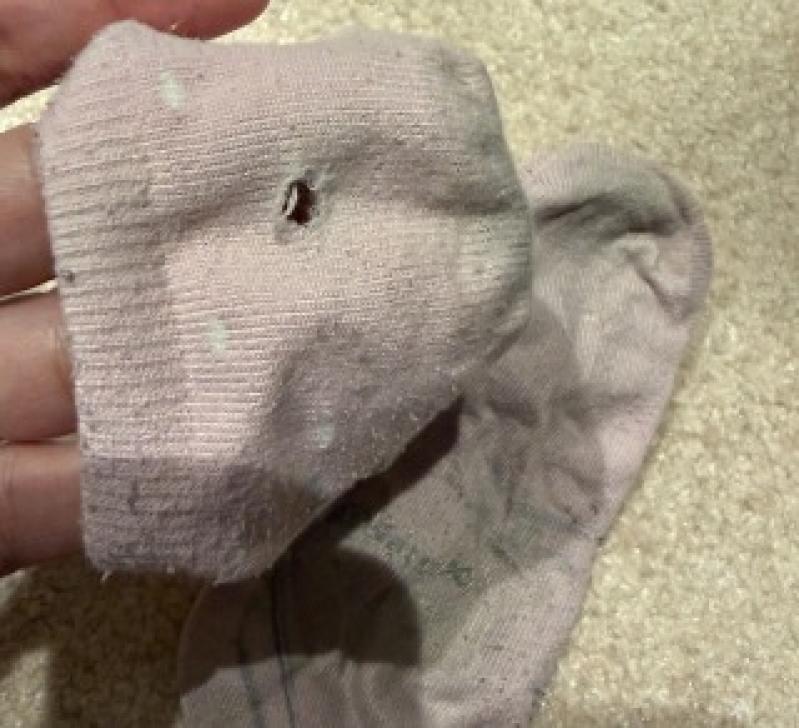 出品者名-写真-1