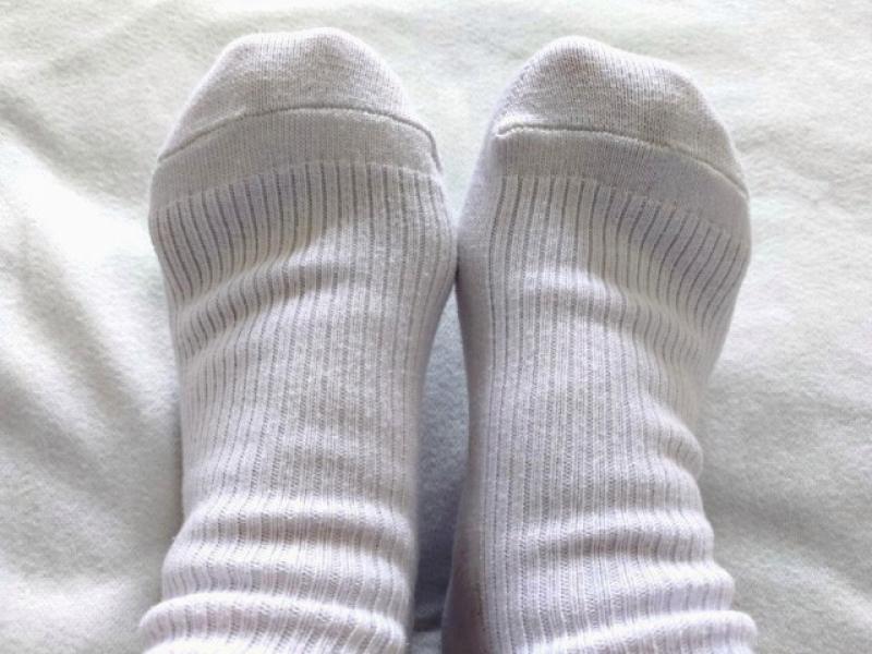 出品者名-写真-1