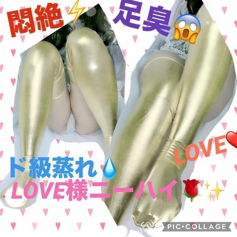 出品者名-写真-1