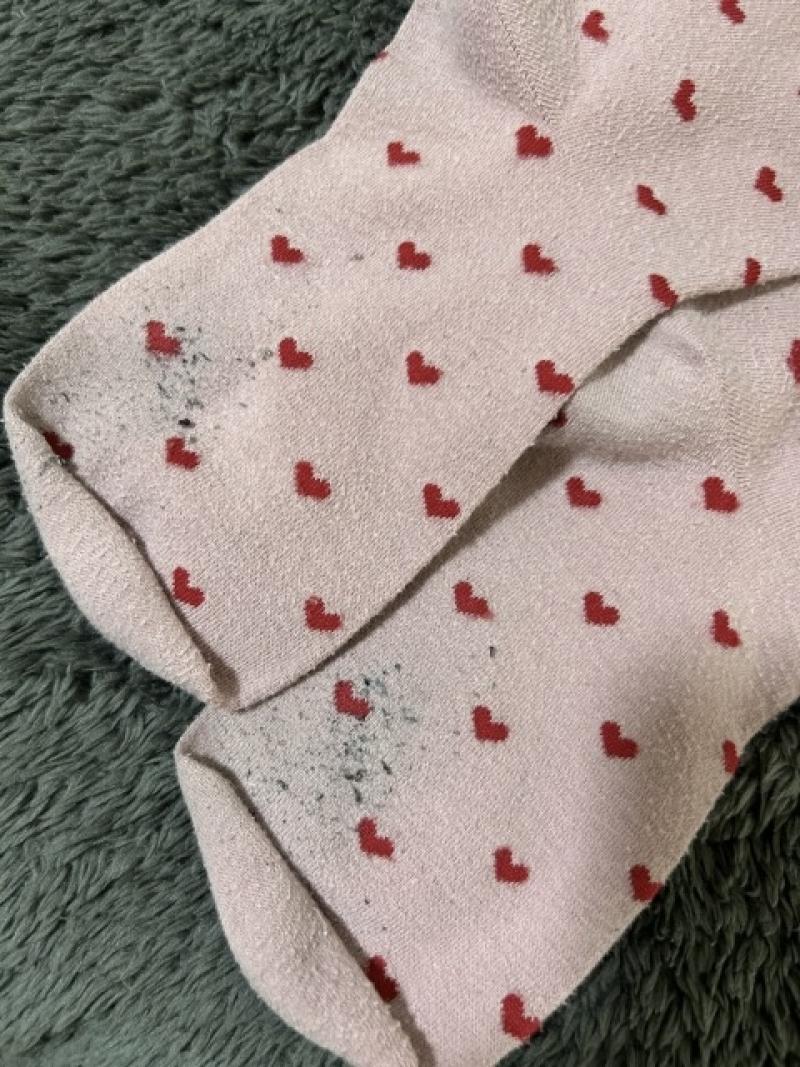 出品者名-写真-1