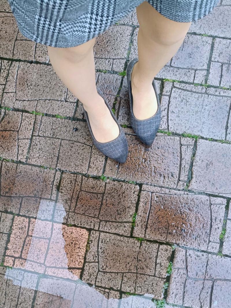 出品者名-写真