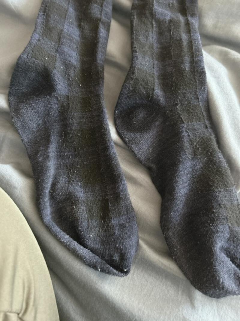 出品者名-写真-1