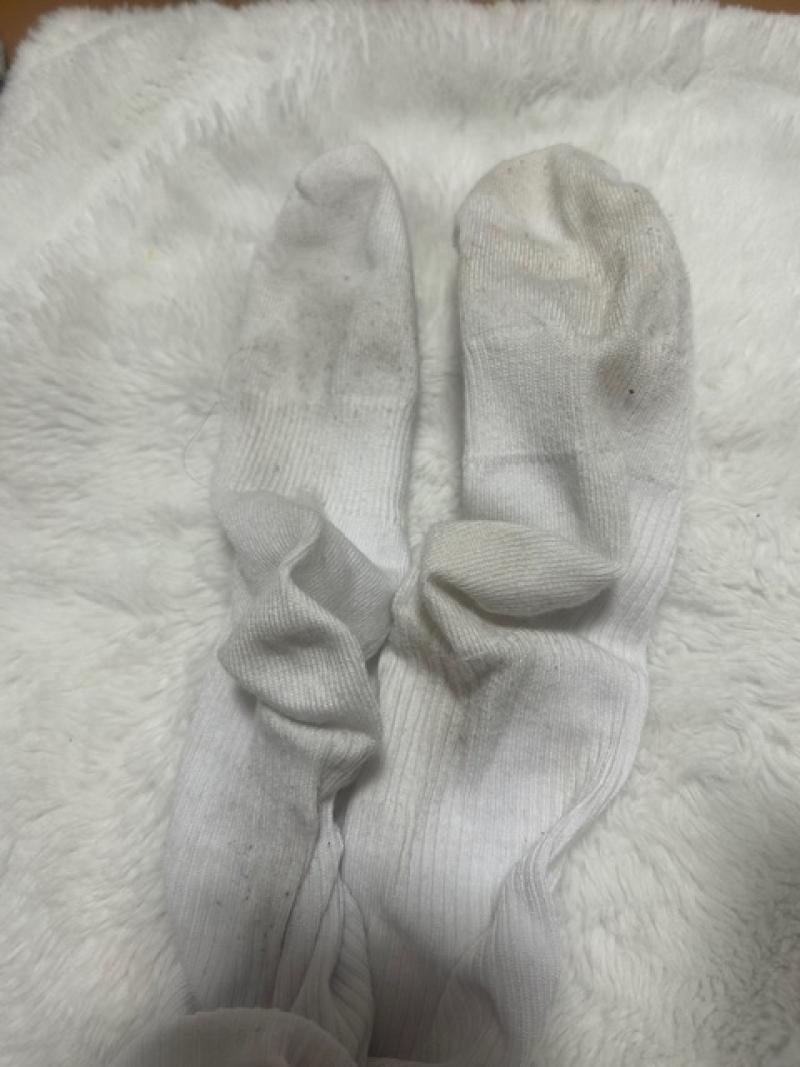 出品者名-写真