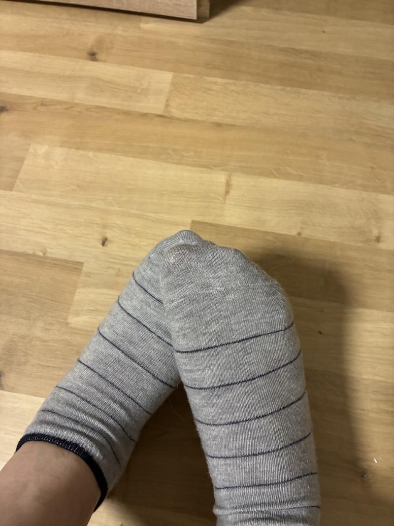 出品者名-写真