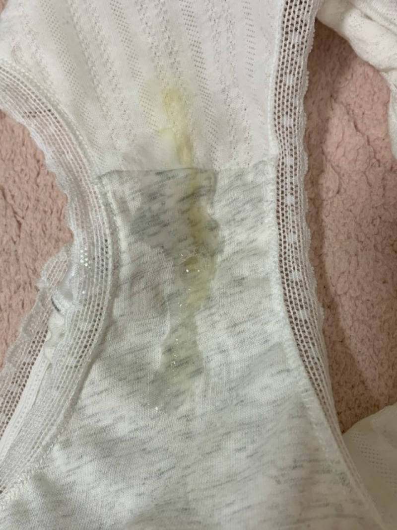 出品者名-写真-1