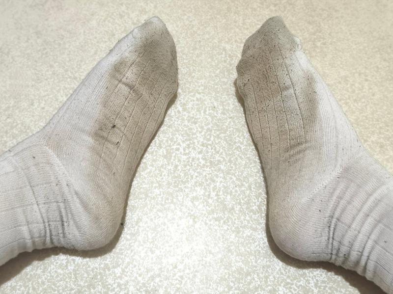 出品者名-写真-1