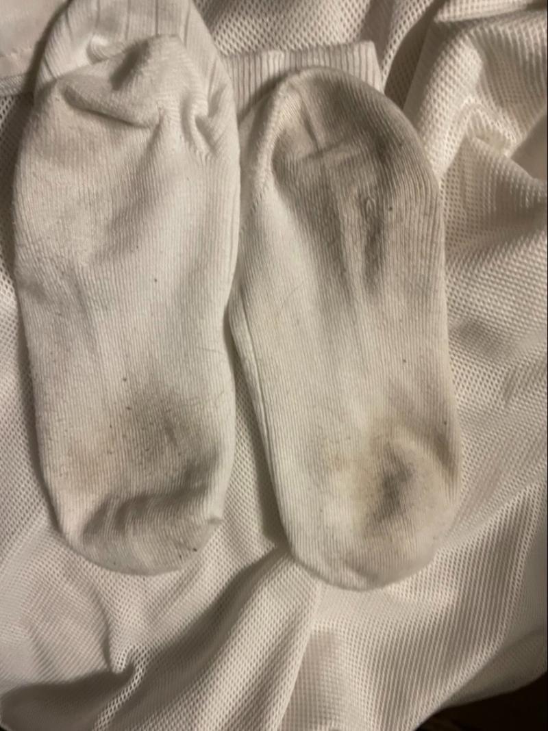 出品者名-写真