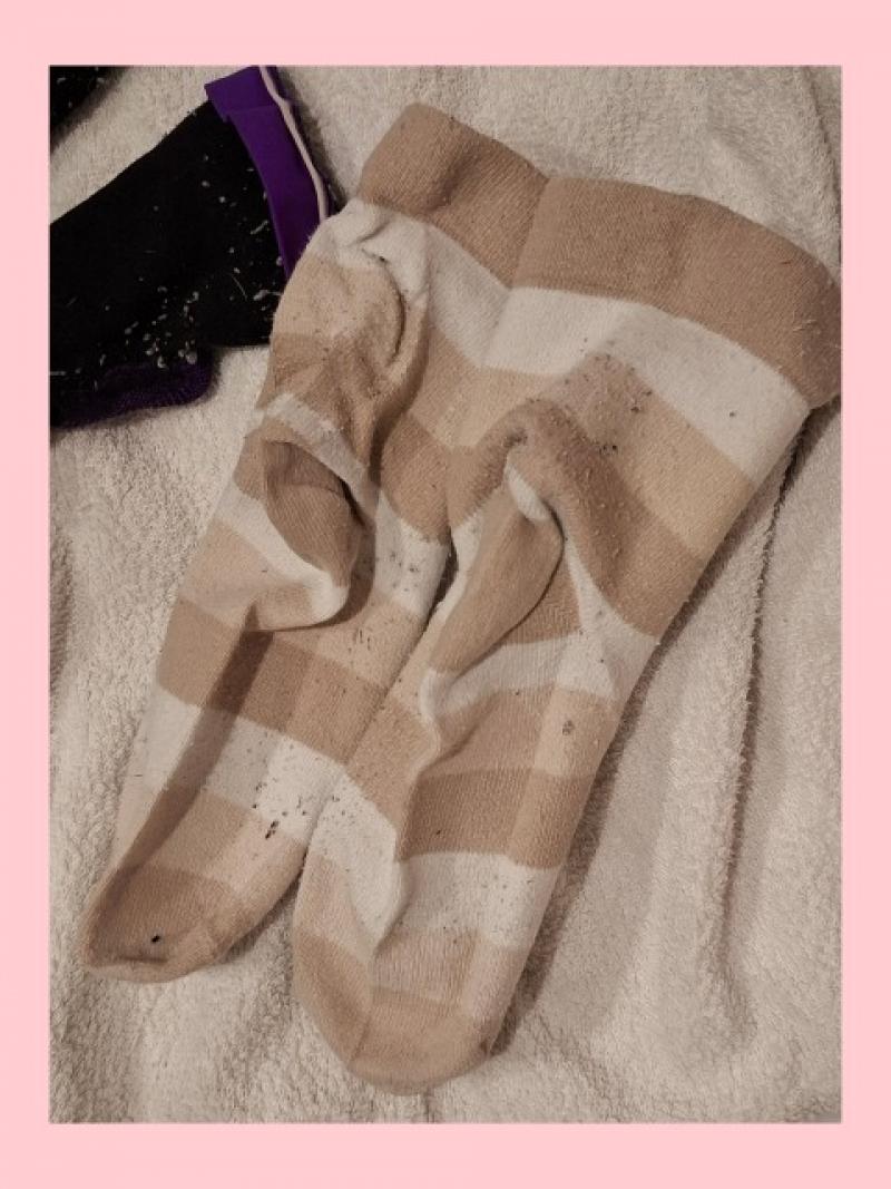 出品者名-写真-1