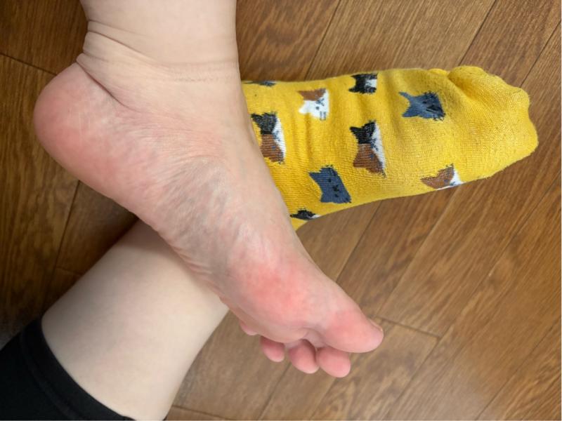 出品者名-写真-1