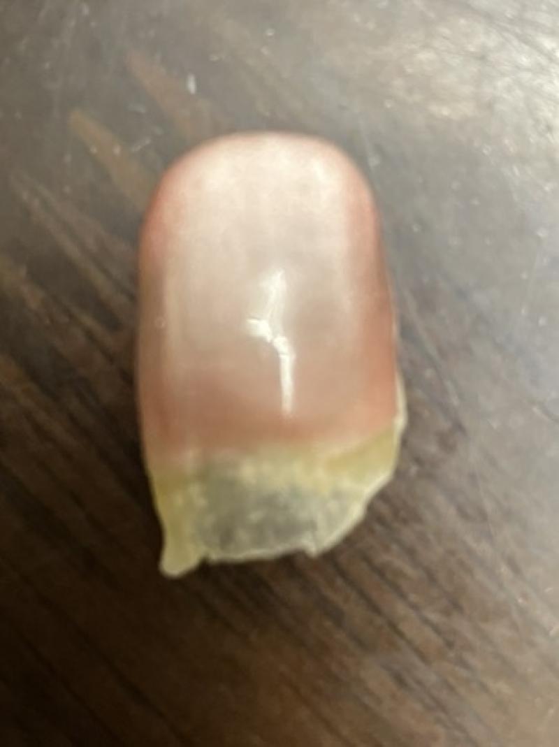 出品者名-写真-1