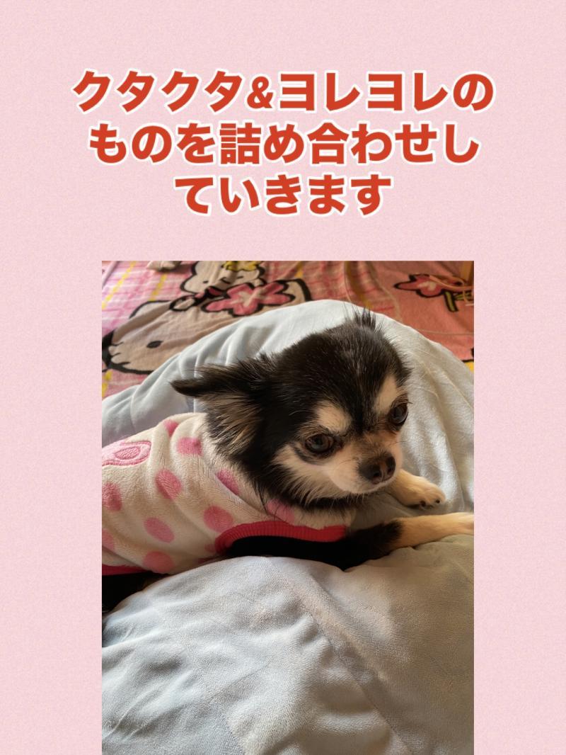 出品者名-写真