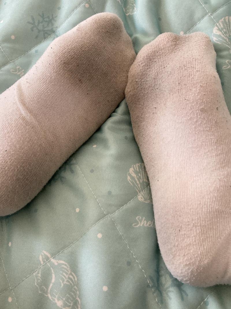 出品者名-写真-1