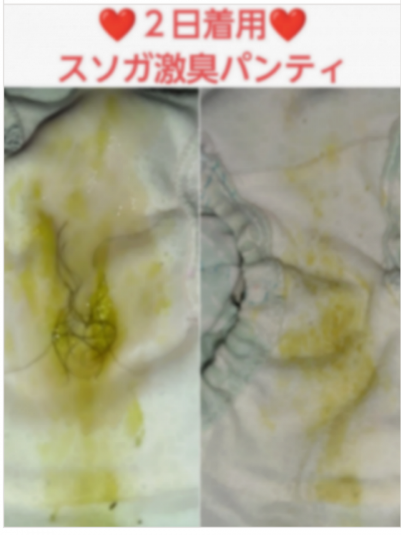 出品者名-写真